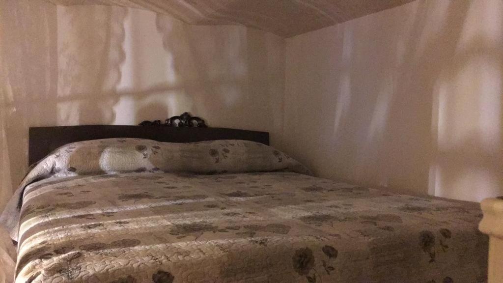 Sennori B&B Shardana מראה חיצוני תמונה