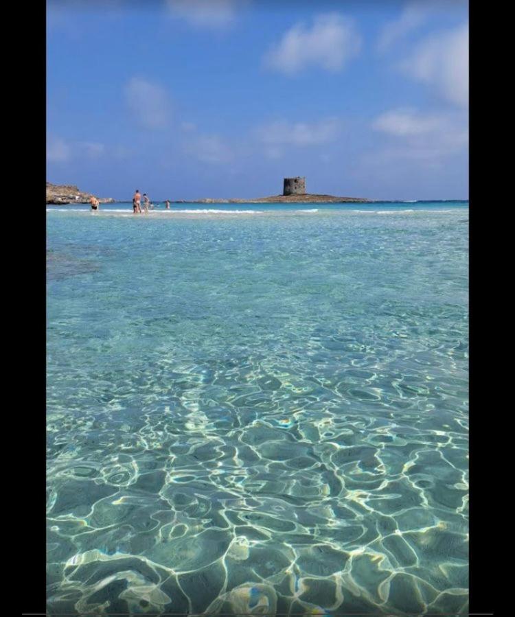Sennori B&B Shardana מראה חיצוני תמונה