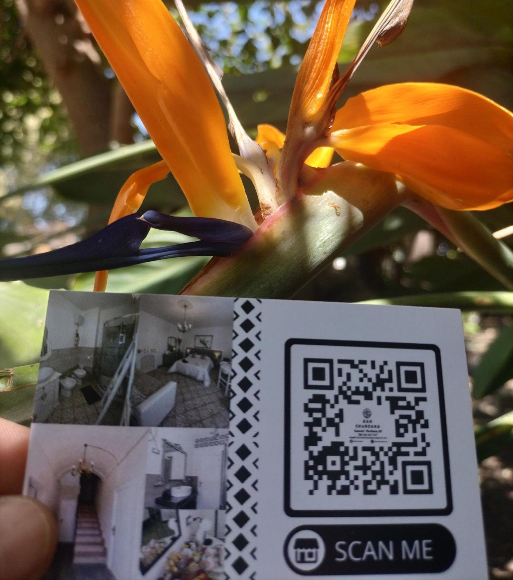 Sennori B&B Shardana מראה חיצוני תמונה